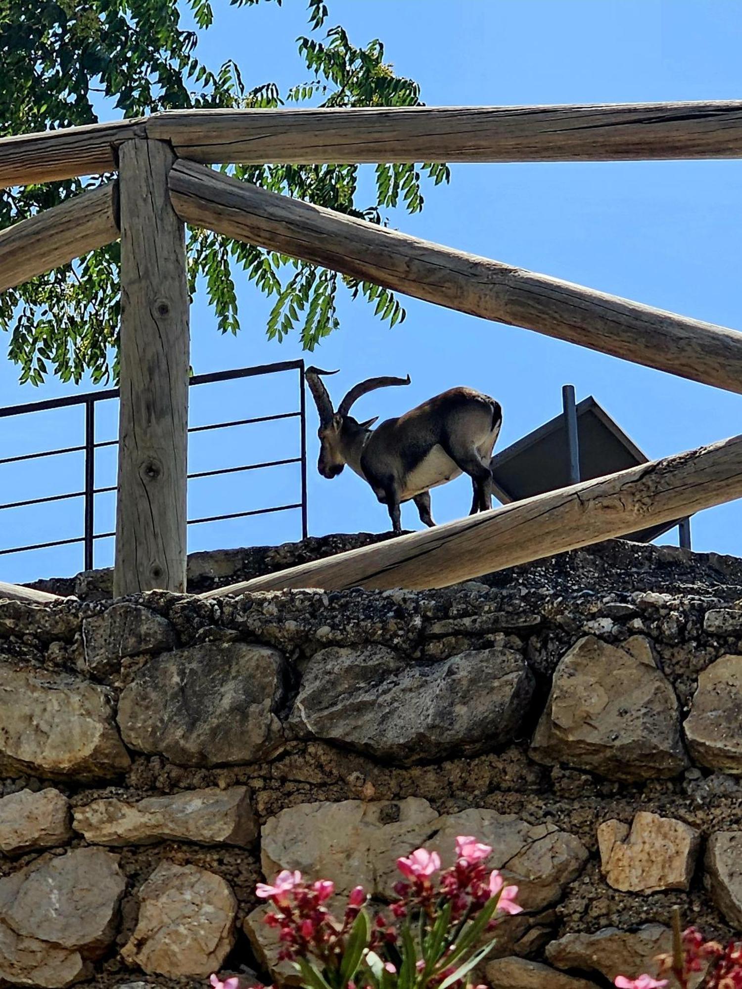 La Mocha Casa Rural La Casa De Ani 拉伊鲁埃拉 外观 照片